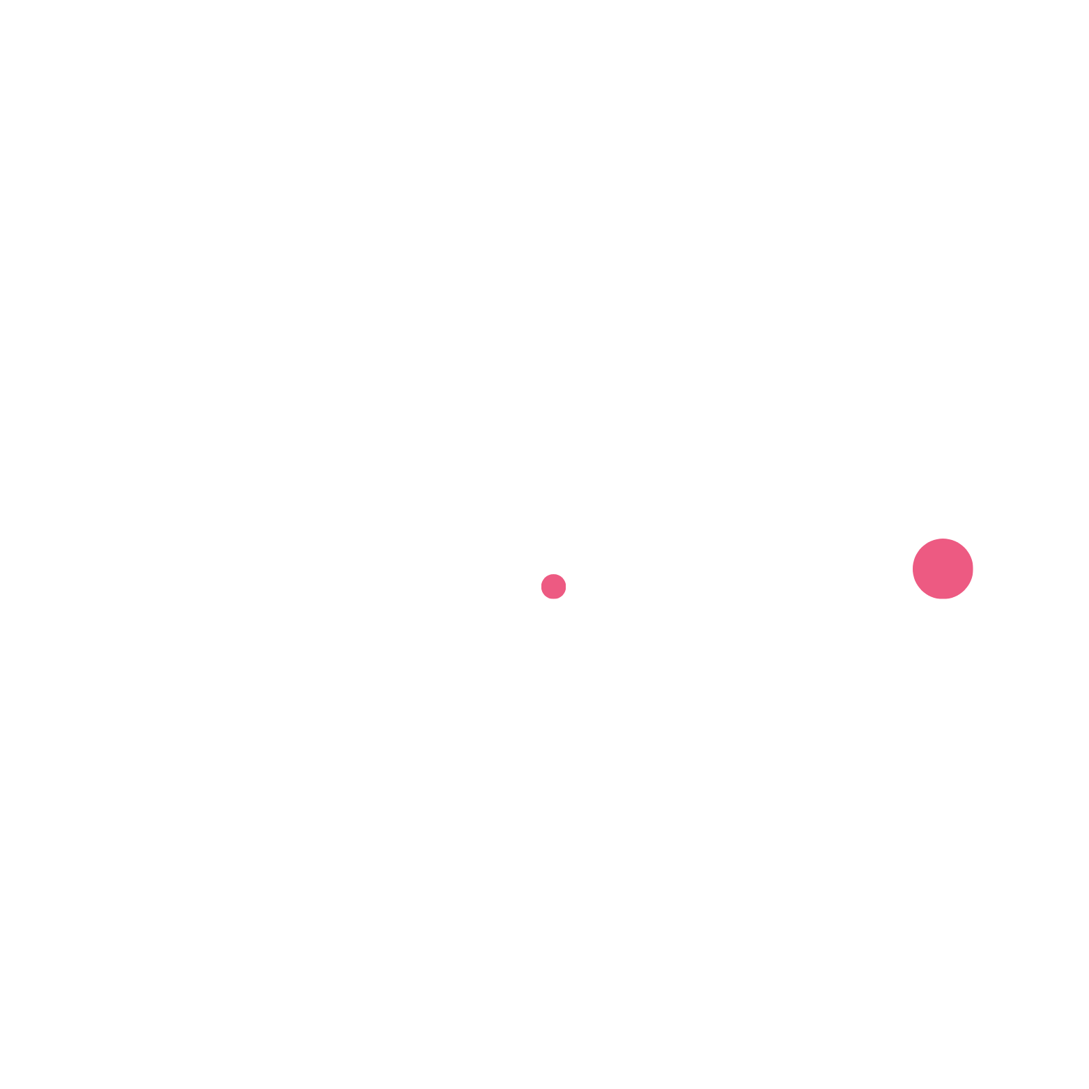 bijWIJZEvan